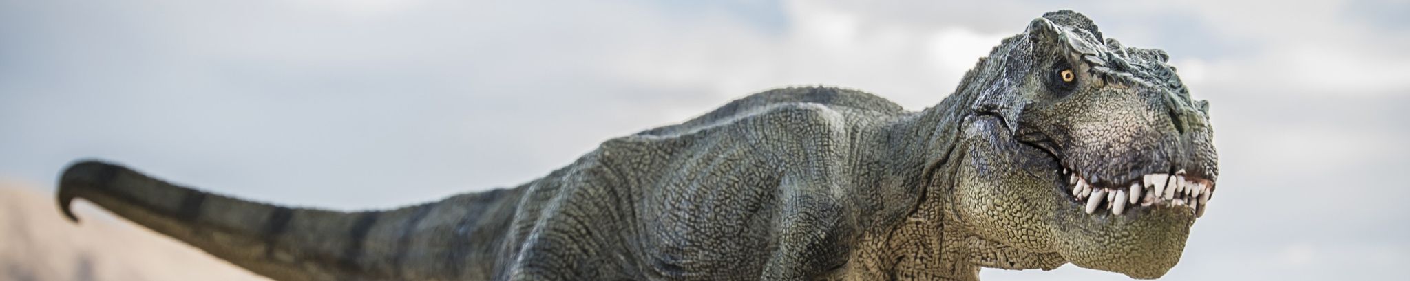 Cover for Bram Davidson's Obituary