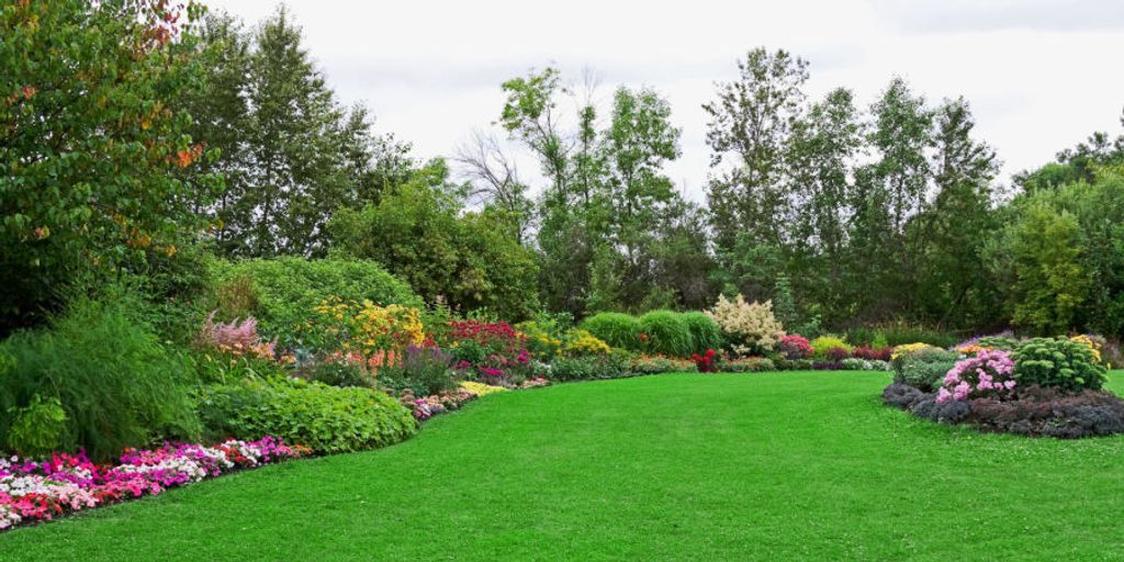 James David Williams Profile Photo