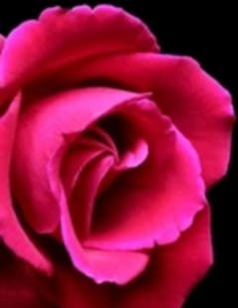 Doris Godfrey Profile Photo