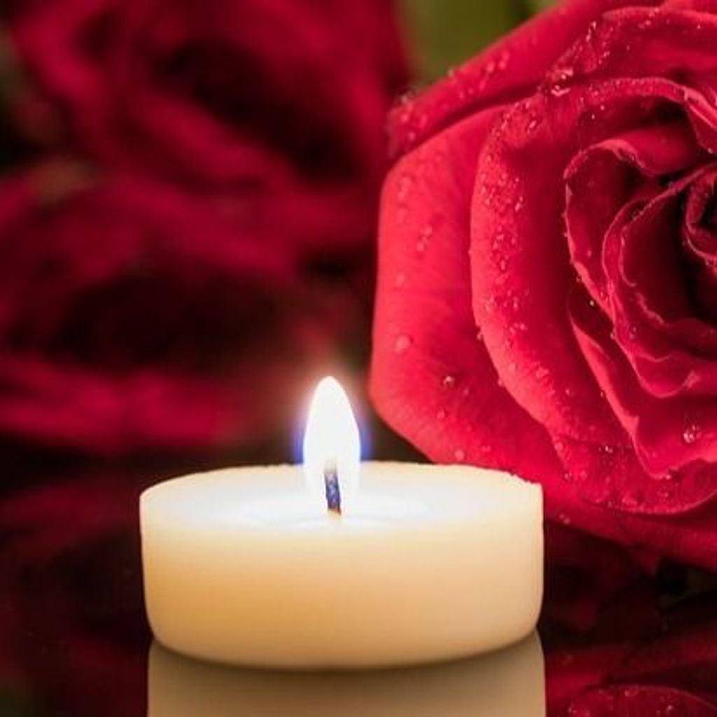 Shirley H. Mcknight Profile Photo