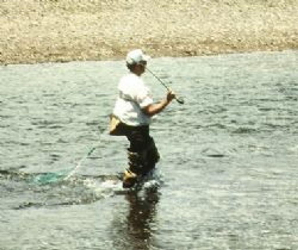 William  P. (Bill)  Mckee  Jr.