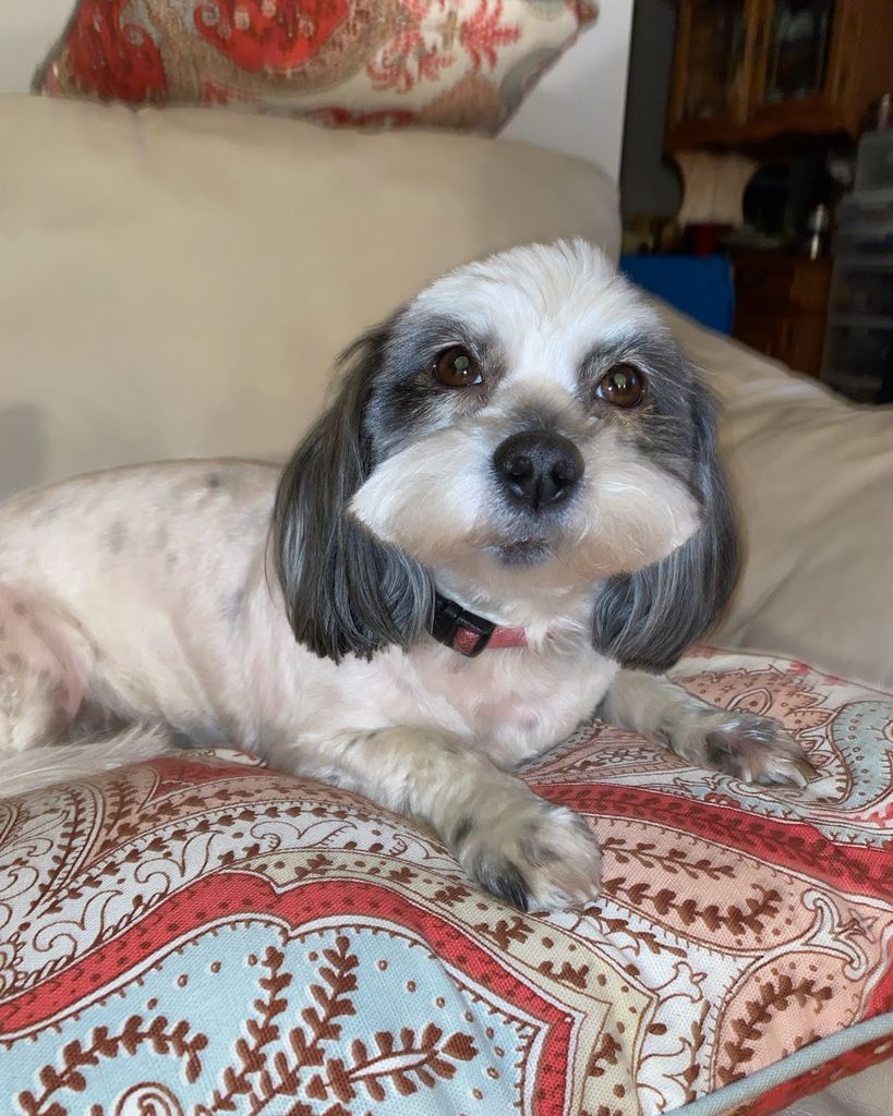 Millie Stouffer