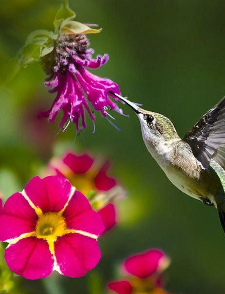 Evelyn Joyce Keller Profile Photo