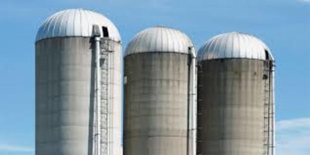 Wayne Graham Profile Photo