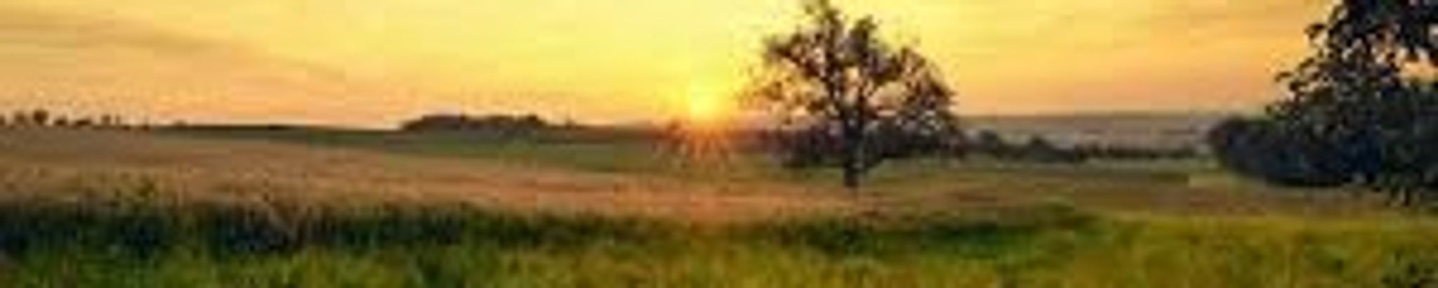 Cover photo for James Harold Cooper's Obituary