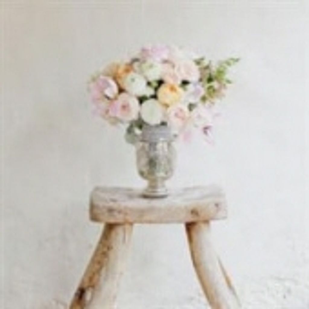 Deonnia Luchetti Todd