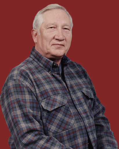Bennie R. Besta's obituary image