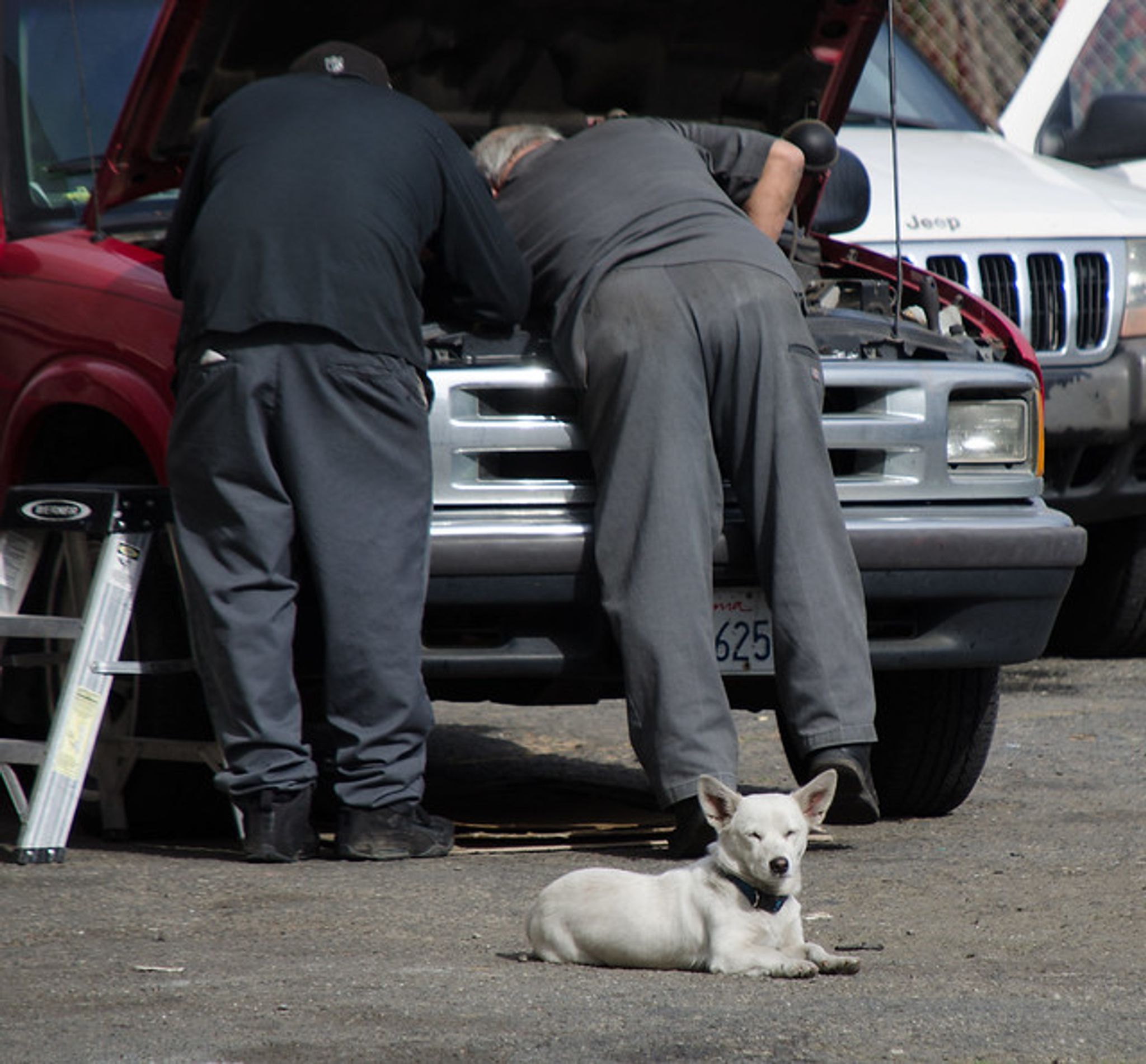 Cover for William Curd Elliott's Obituary