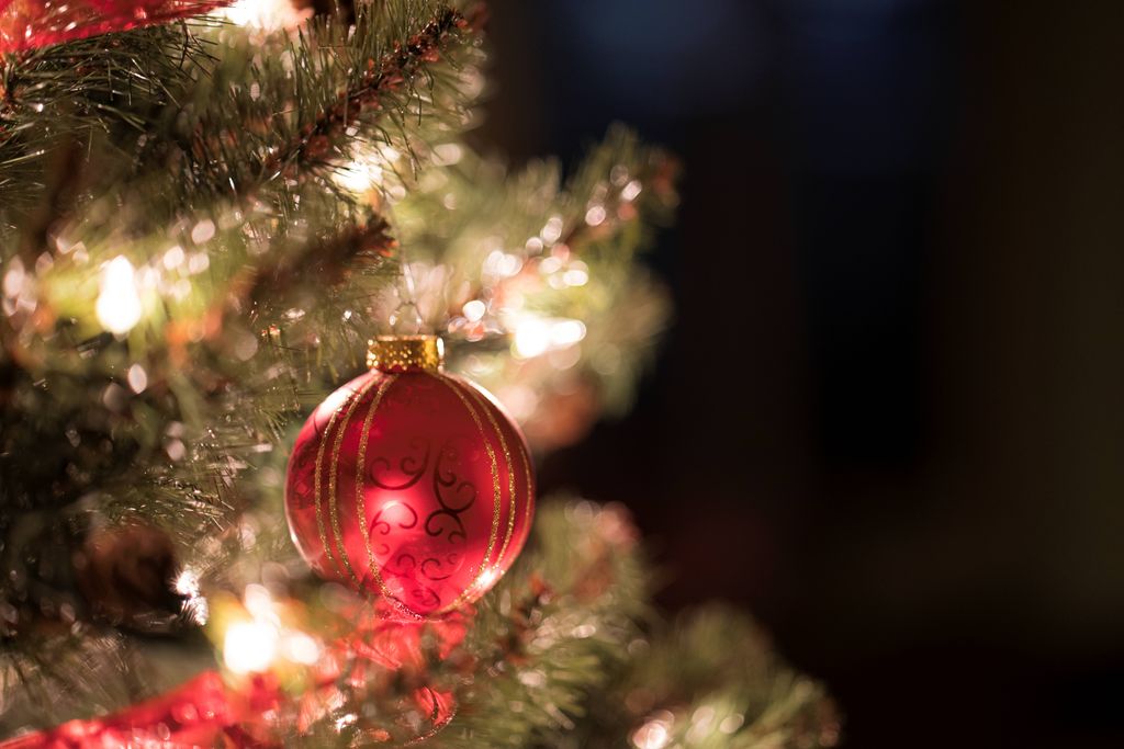 Judy Kay Humphrey Profile Photo