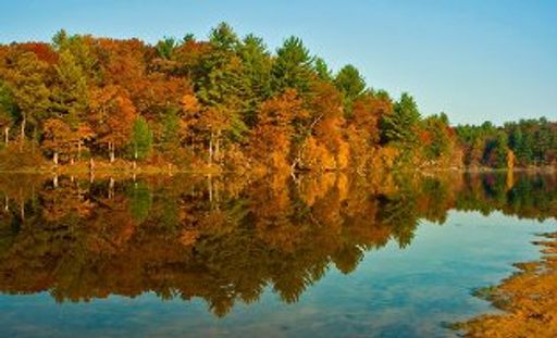 James A. Mooney Profile Photo