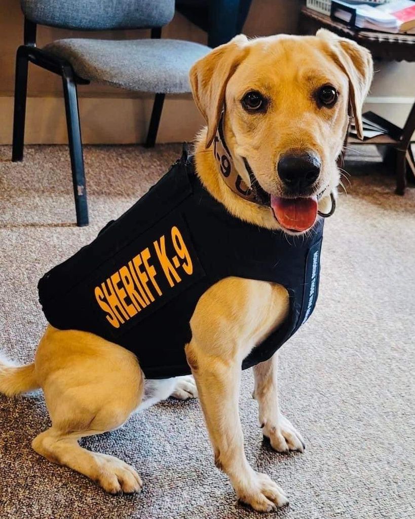 K-9 Deputy Finn Winder