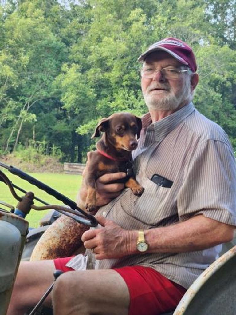 Hilton Jessie Burgans