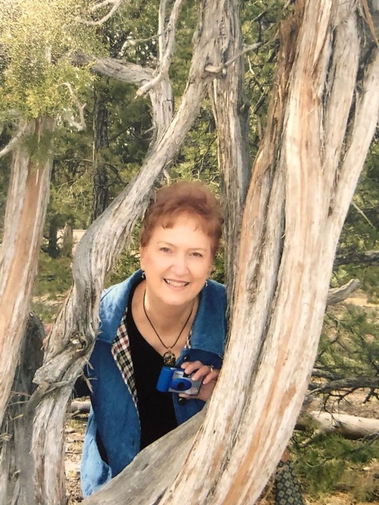 Mary Frances (Thornton)  Zimmerman