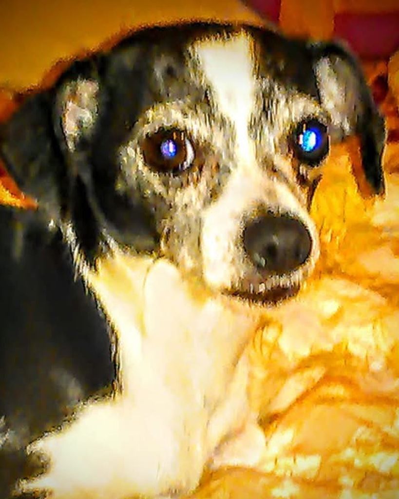 Missie