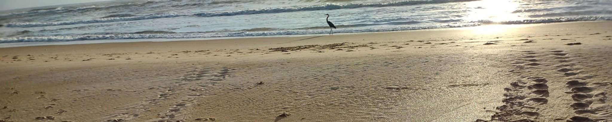 Cover for James Richard Damaré's Obituary