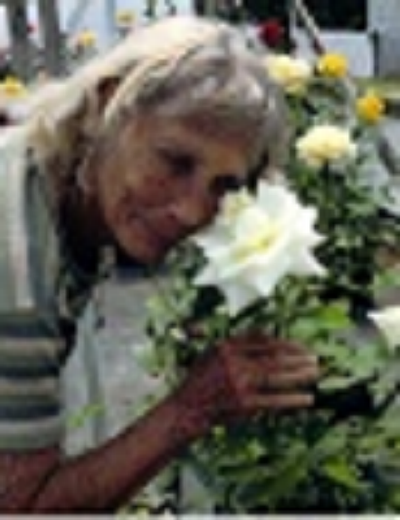Dorcas Piner Hicks