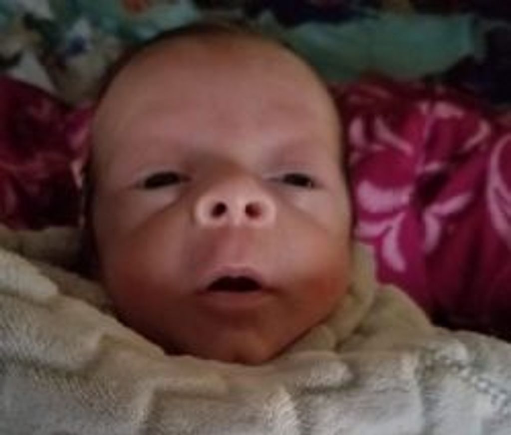 Ashton Harris