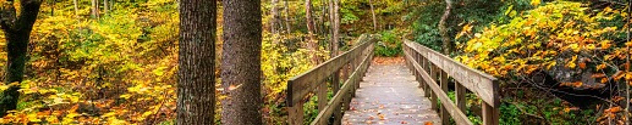 Cover photo for Carol M. Gillette's Obituary