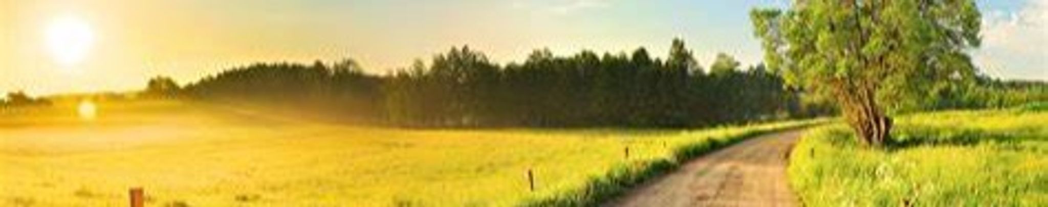 Cover photo for William L. "Billy" Carter's Obituary