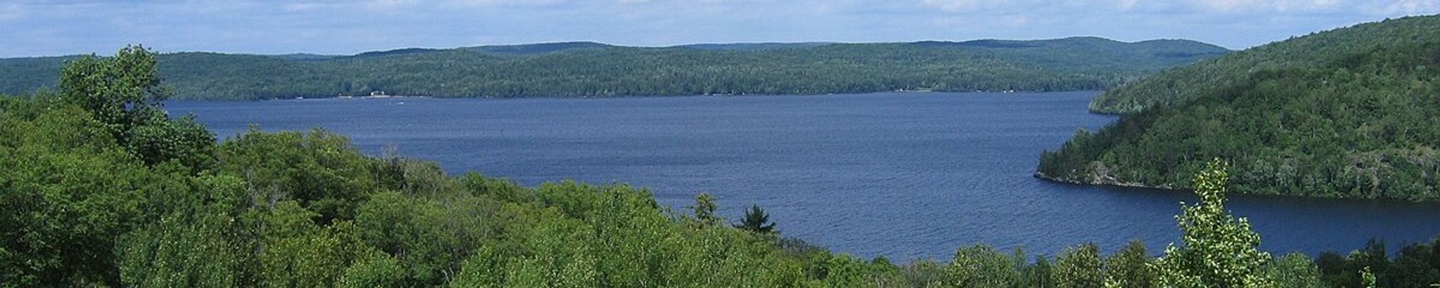 Cover for Dieter Botz's Obituary