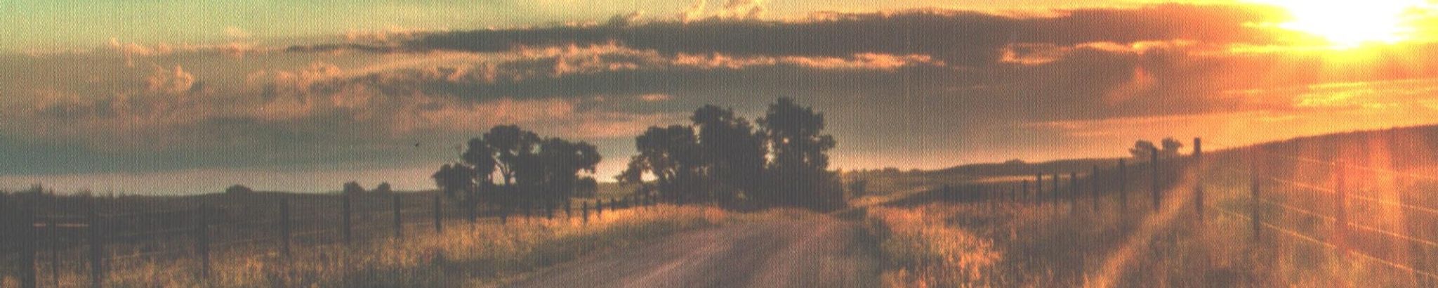 Cover for Terry Schultz's Obituary