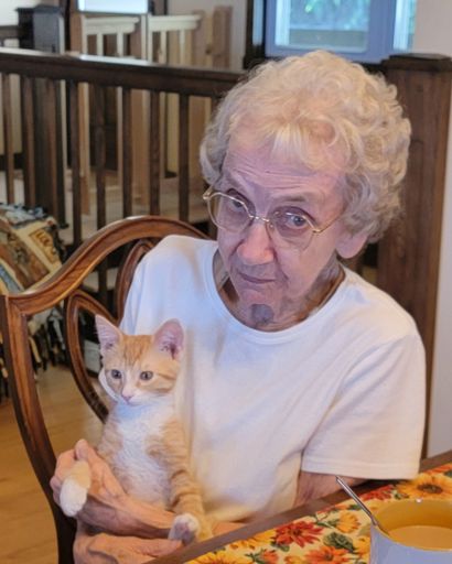 Dacy Ann Wampler Profile Photo
