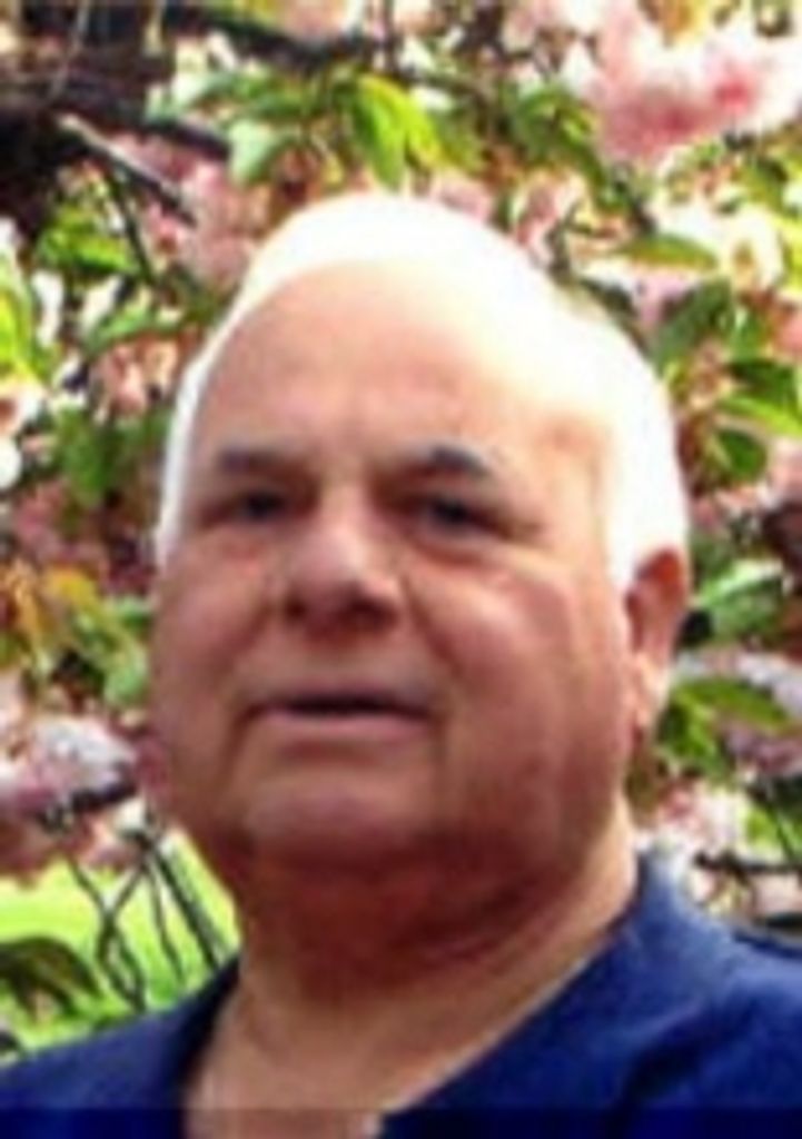Robert N. Dantonio