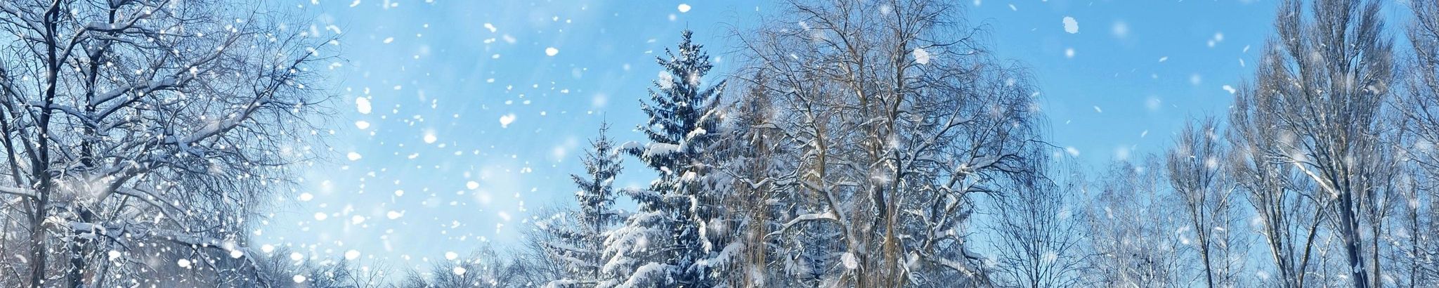 Cover for Fred DeLong's Obituary