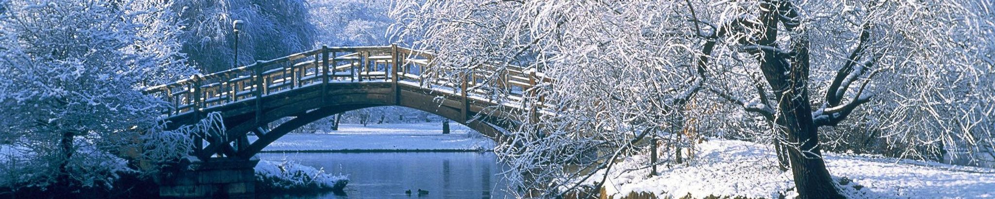 Cover for Linda Joyce Duncan's Obituary