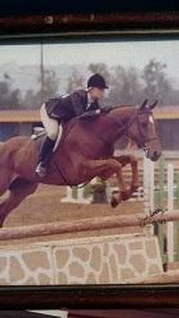 Victoria Evelyn Allsopp