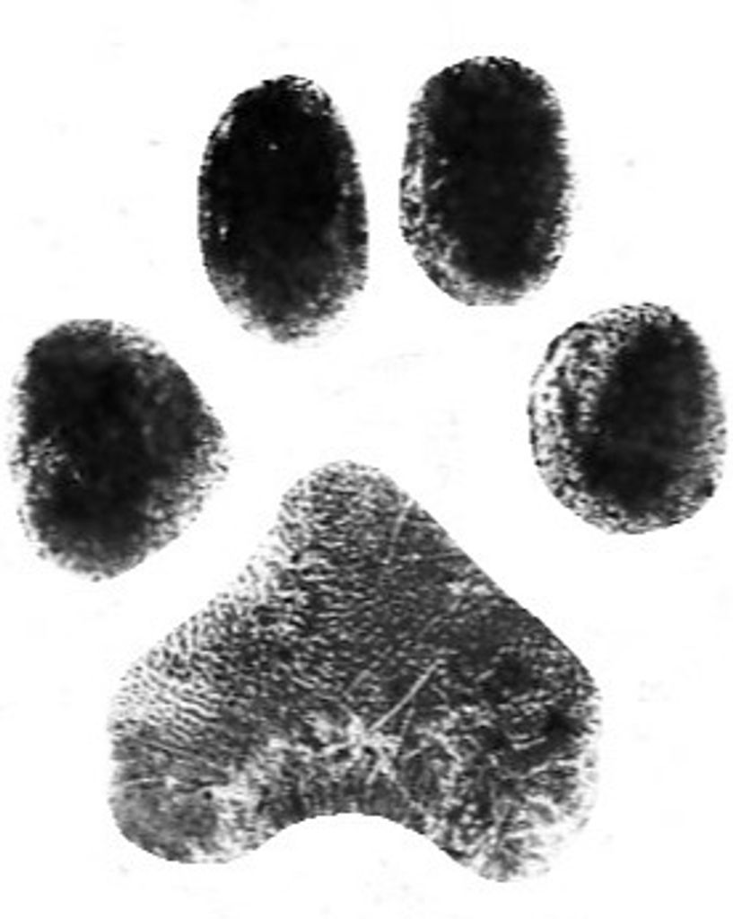 Dink Canrobert Profile Photo