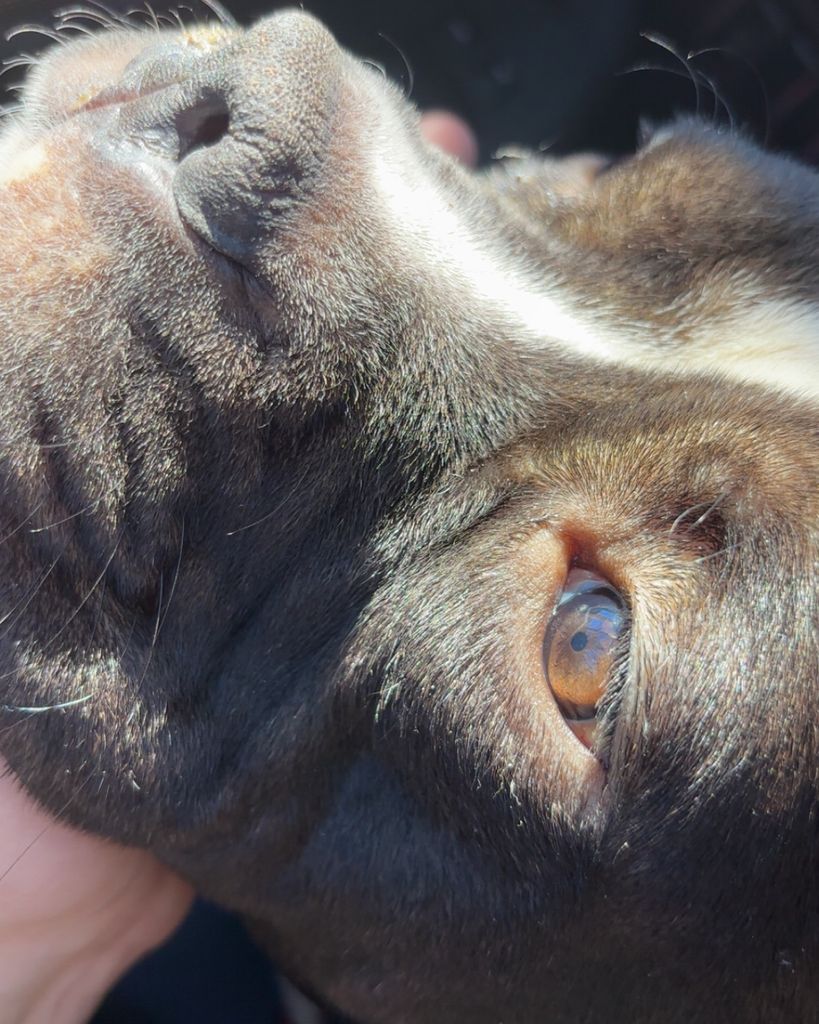 BigBack Caulder Profile Photo