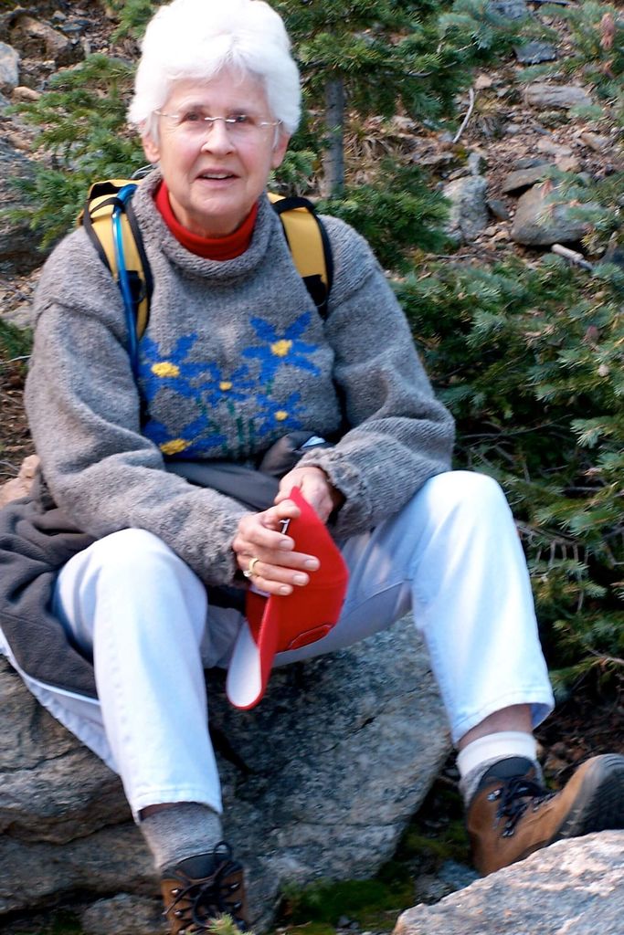 Nancy Ann Devins Baughn