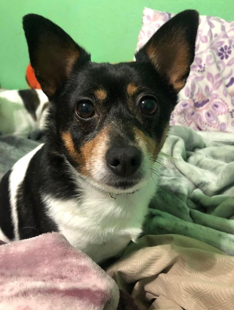 Zoey Profile Photo