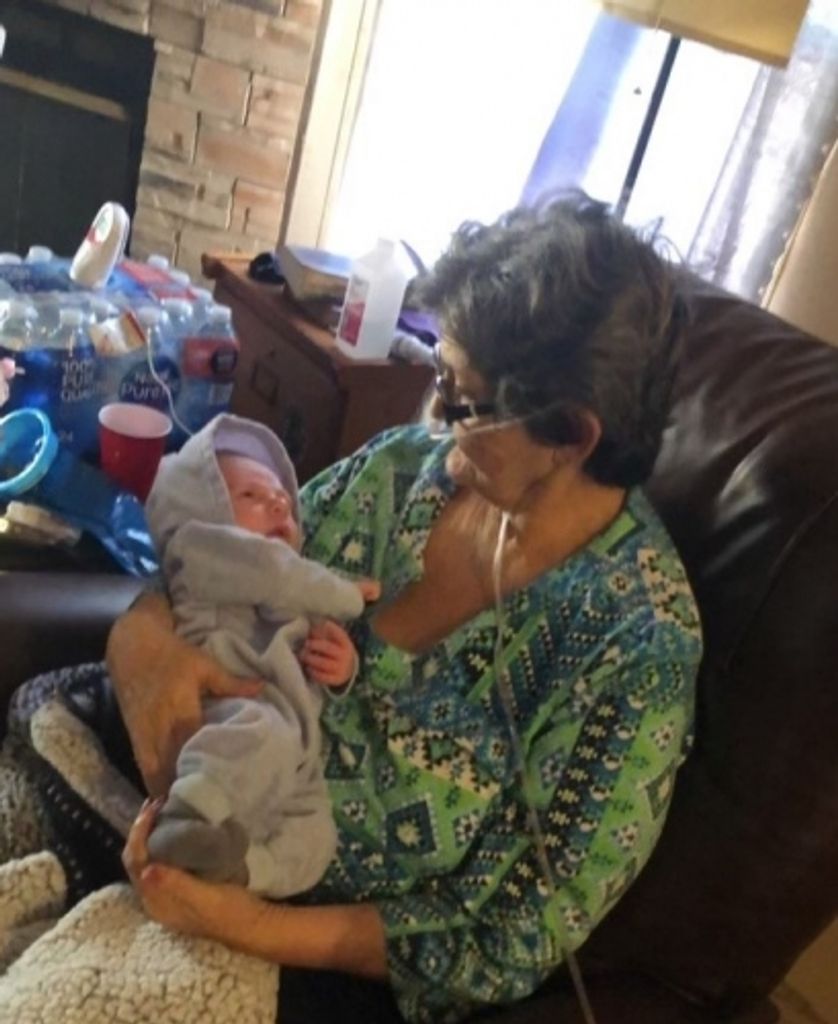 Ms. Dale Kaloplastos