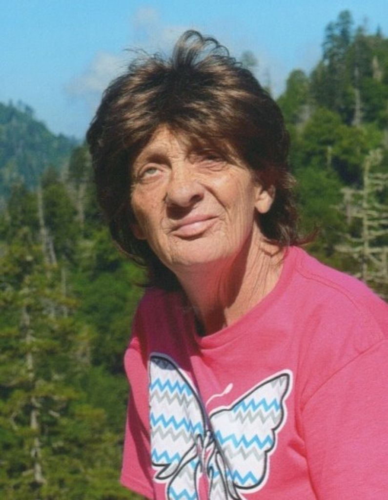Diana Sue Cowles McCormick