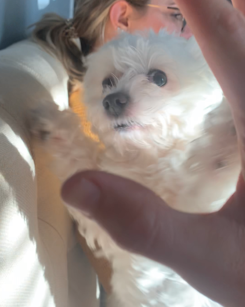 Oliver Profile Photo
