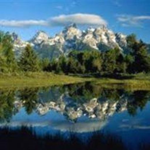 Ralph Rawls Profile Photo
