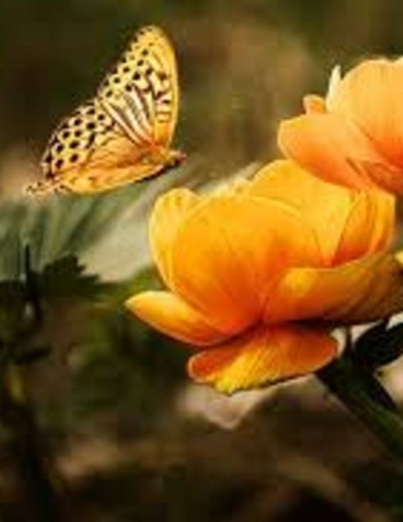 Susan Gretchen Gibbs