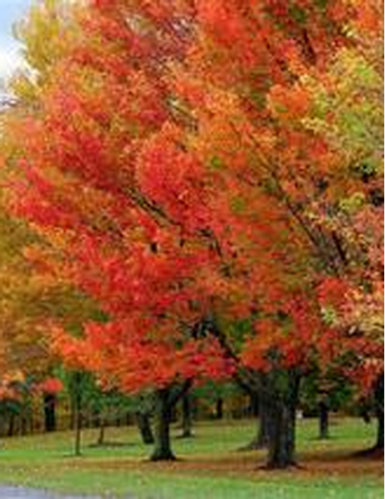 Kathleen Esther Nolan Garland