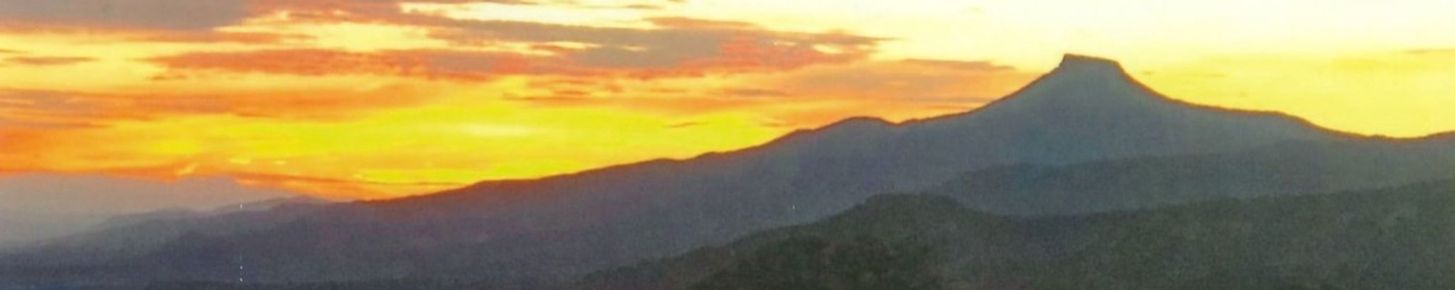 Cover photo for Richmond (Bart) Lewis's Obituary
