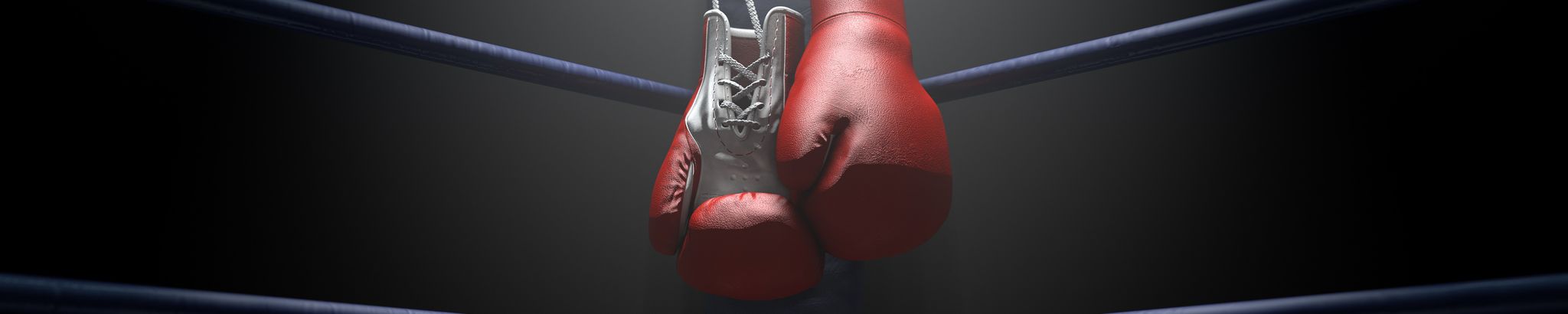 Cover for Albino Almanza Aguirre's Obituary