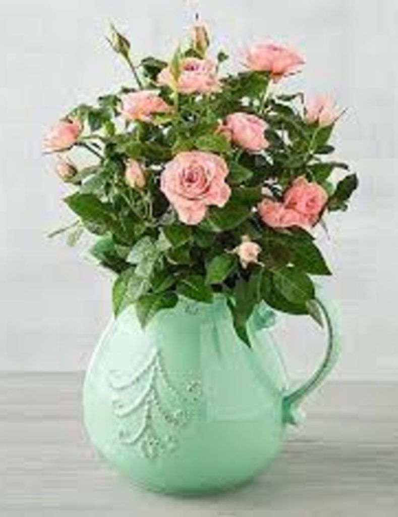 Genevieve S. Kennedy