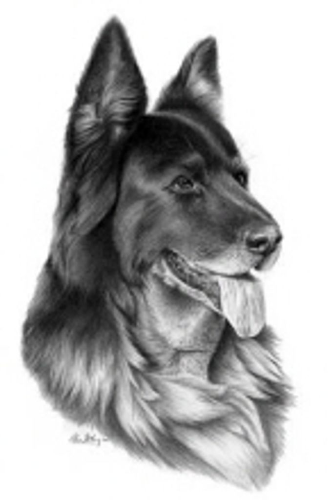 Harley Smith Profile Photo