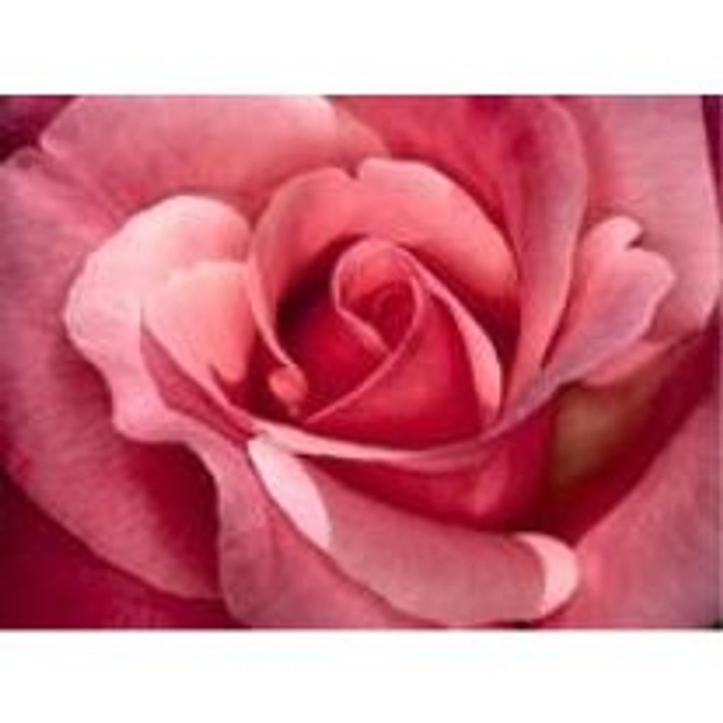 Sally Arlene Knudson