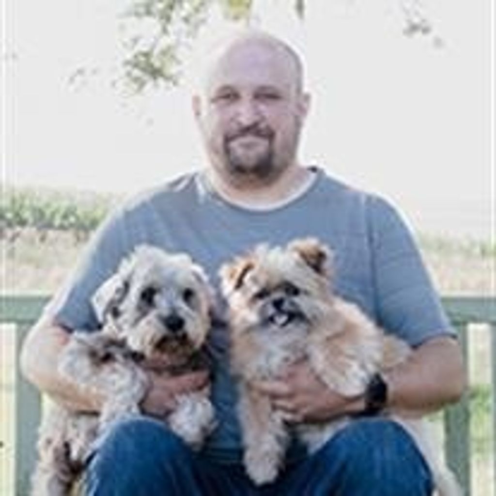 Benjamin Nicholas Stein Profile Photo