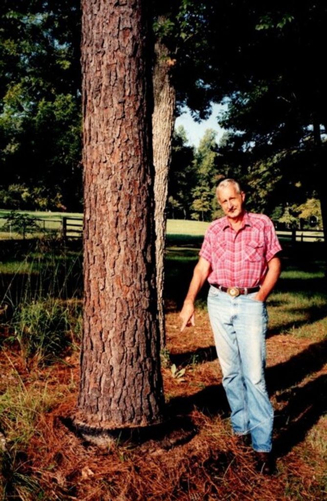 David L. Mcmanus Profile Photo