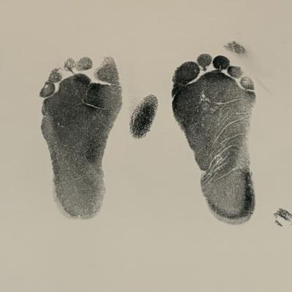 Beckett Wayne Vanmeter