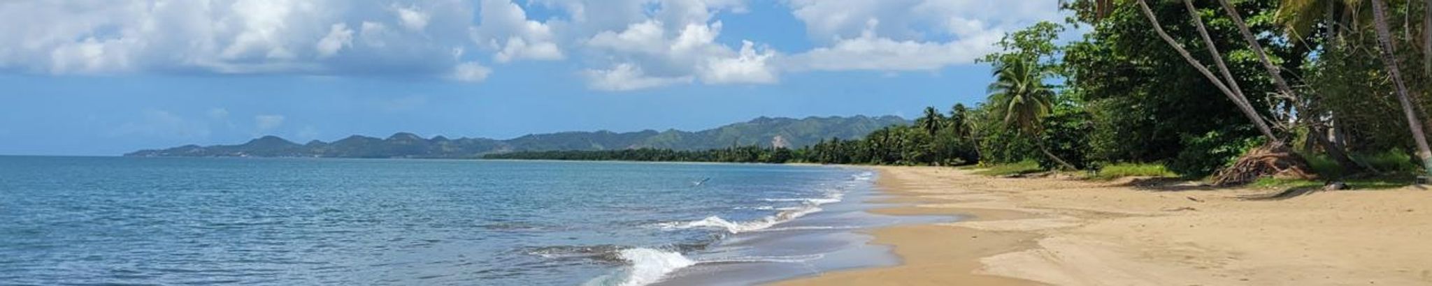 Cover for David Santiago Ramos's Obituary