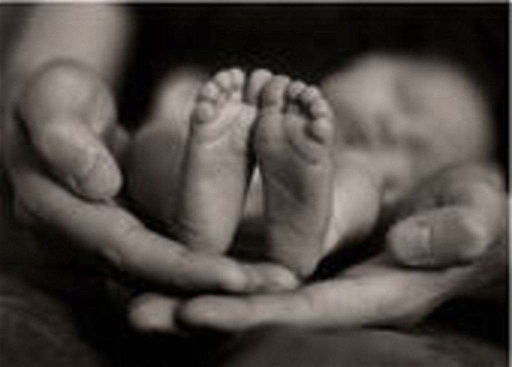 Cohen Bradley Beiler